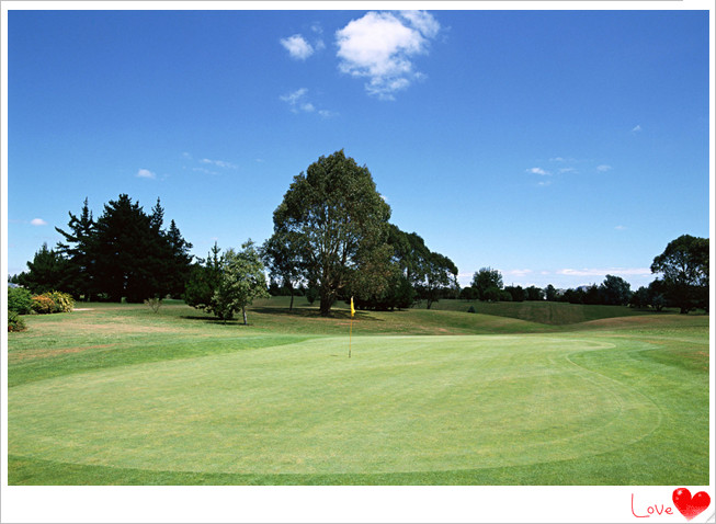 201808151534311374128.jpg 舒适2.jpg