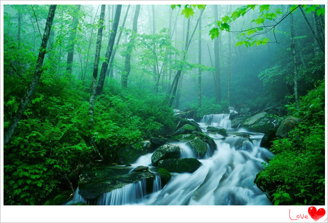 201808151534311399332.jpg 舒适_副本.jpg