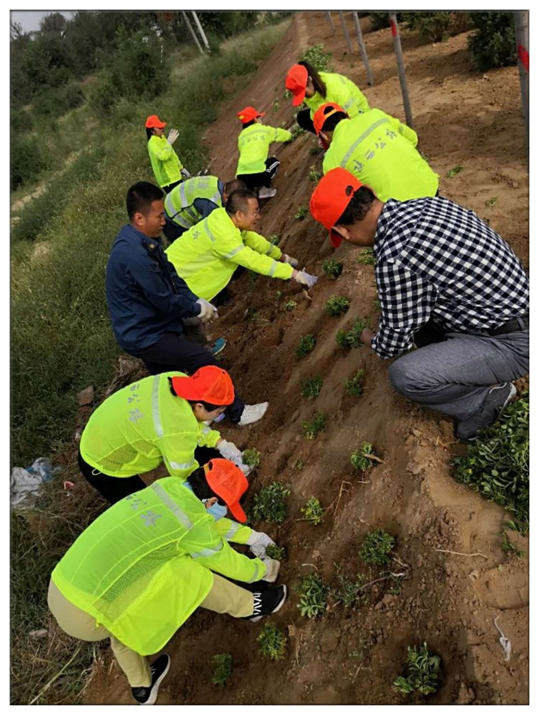 撸起袖子加油干——公路人 (5).jpg