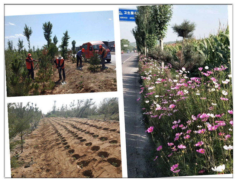 撸起袖子加油干——公路人 (4).jpg