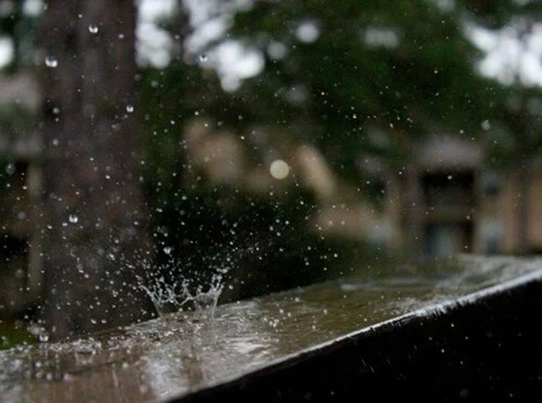 201907261564108020979.jpg 听雨1.jpg