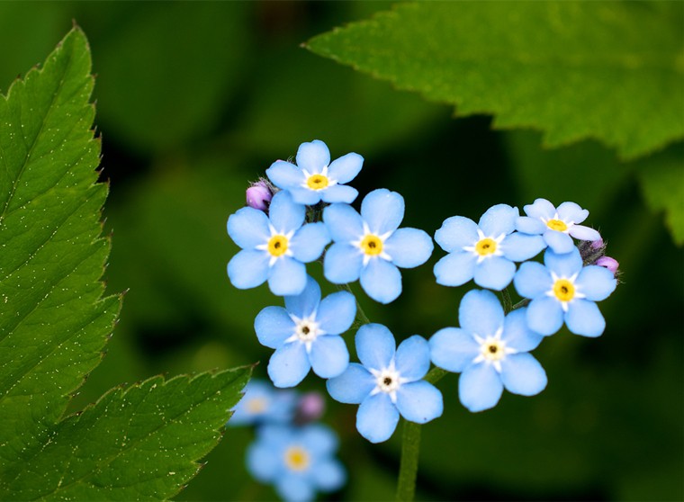 201908091565339333455.jpg 生活3.jpg