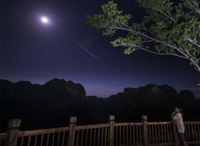 201909261569510843223.jpg 月夜.jpg