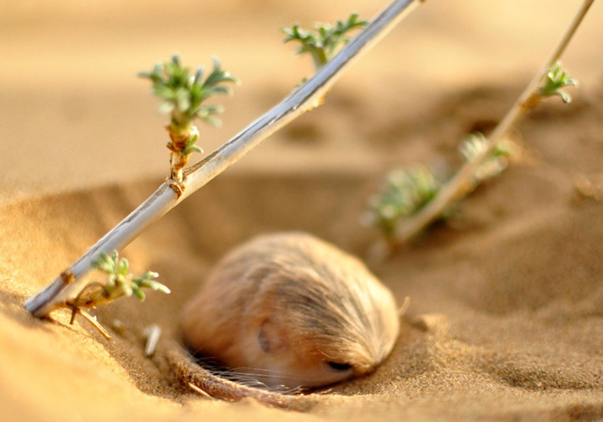 活着，就要感谢 (3).jpg