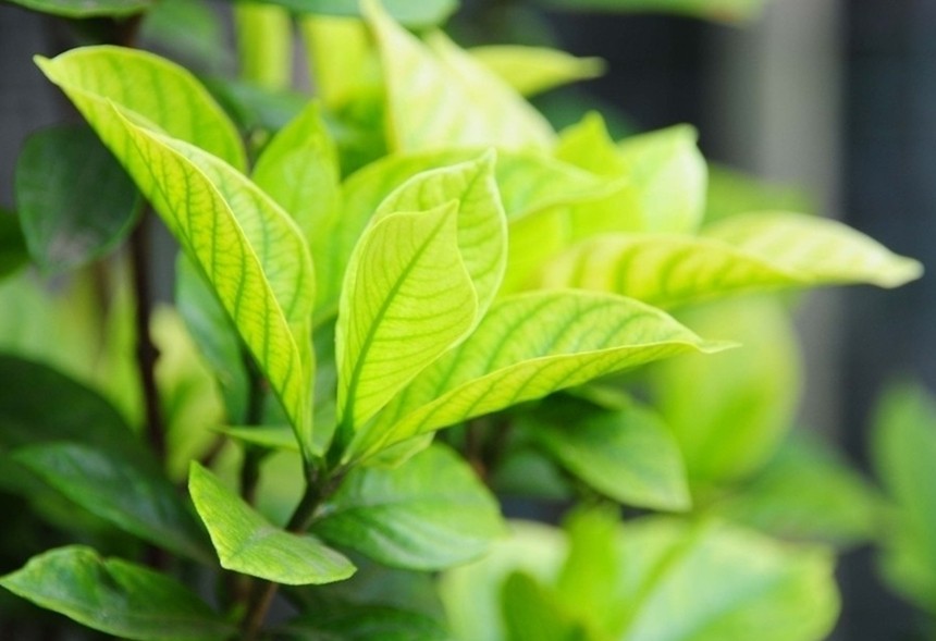 活着，就要感谢 (2).jpg