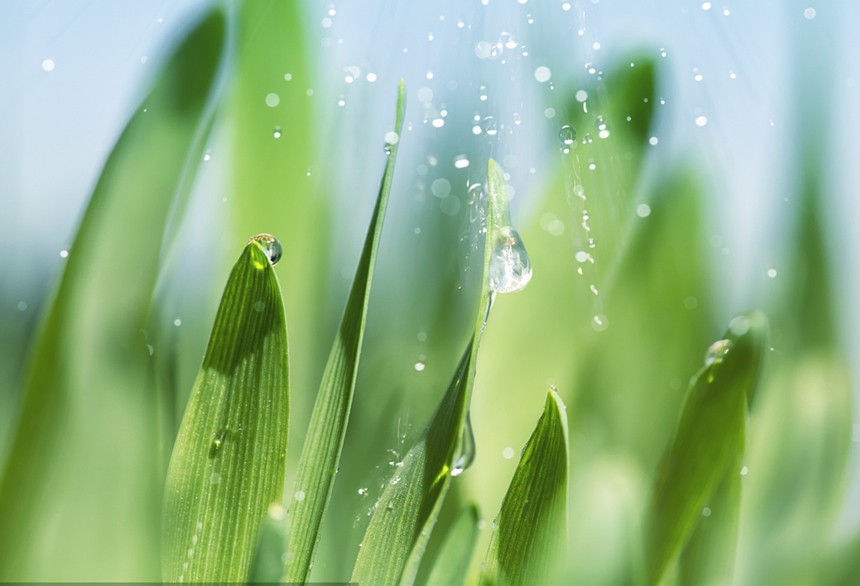 活着，就要感谢 (4).jpg