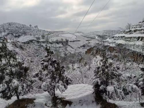 1606354749881246.jpg 今冬第一场雪 (2).jpg