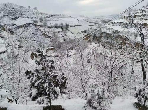 1606354769146594.jpg 今冬第一场雪 (1).jpg