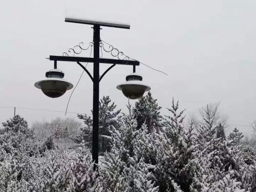 1607042406783894.jpg 8b54fab44986b7836748669fc4e9fad.jpg