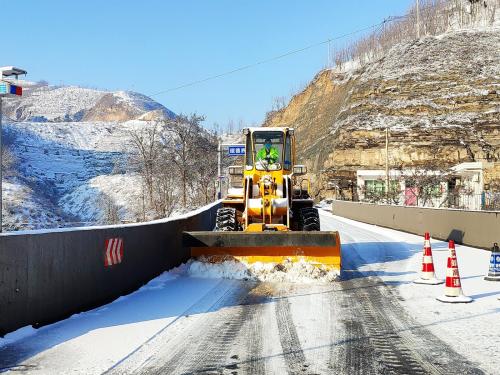 1607321954481048.jpg IMG_20200202_095328.jpg