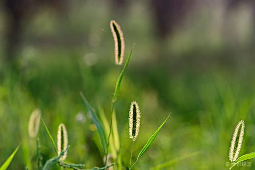 1611022432946619.jpg QJ6693164663.jpg