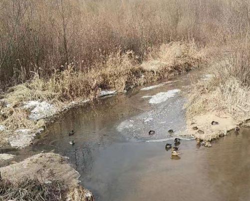 1612097595394431.jpg 冬季的榆西河畔.jpg