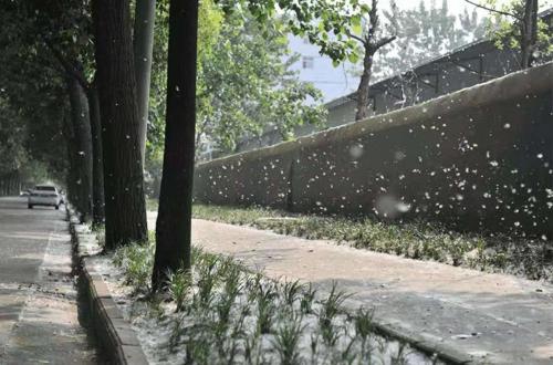 1619311676250299.jpg 7582fbf6eee210d193bd1b419ee2e9f.jpg