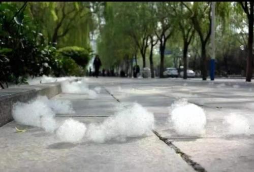 1619311737834040.jpg b62f18c3fba99b69deecec918f8a8a0.jpg