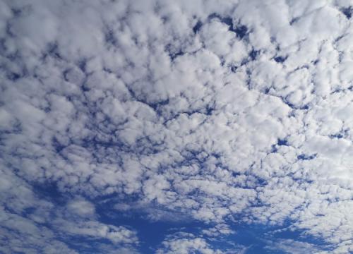 1624246051792585.jpg 如要成长 无人阻挡 (4).jpg