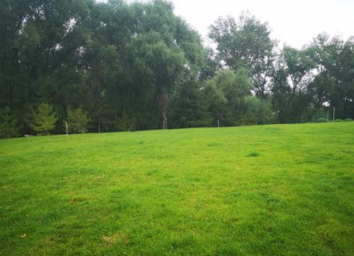 1630919752290872.jpg 榆林人的天然氧吧 (5).jpg