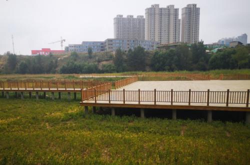 1630919826221446.jpg 榆林人的天然氧吧 (6).jpg