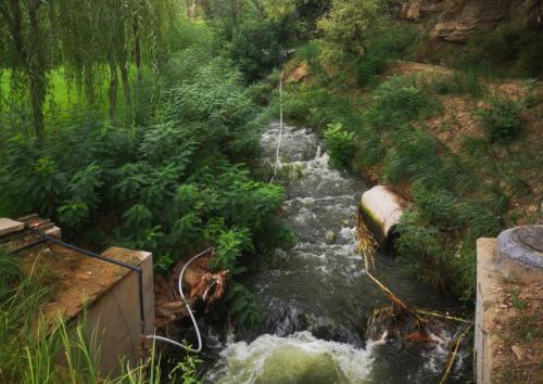 1630919937440763.jpg 榆林人的天然氧吧 (1).jpg