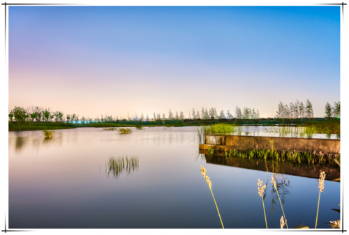 1675048059385860.png ba7667fa-6fa2-4c77-ba7c-a0325618dcba.png