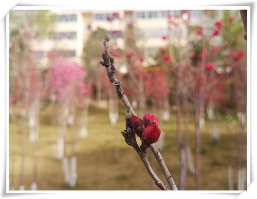 1682667005914125.jpg 微信图片_20230428152458.jpg