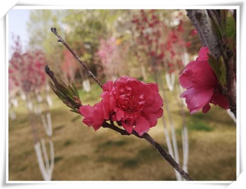 1682667035584604.jpg 微信图片_20230428152513.jpg