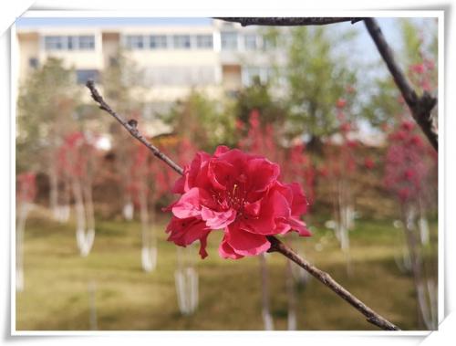 1682667079556115.jpg 微信图片_20230428152835.jpg