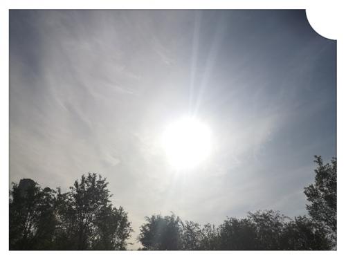 1686304948941343.jpg 人生本是一场孤独 (4).jpg