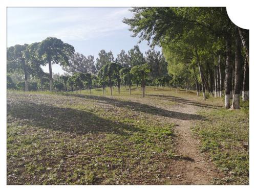 1686304963580233.jpg 人生本是一场孤独 (3).jpg