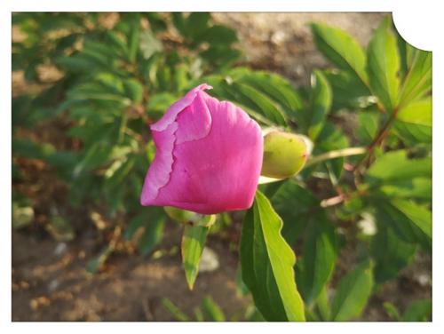 1686304981413582.jpg 人生本是一场孤独 (1).jpg