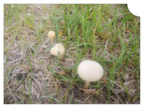 1686304996378969.jpg 人生本是一场孤独 (2).jpg