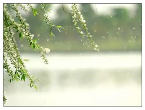 相约人间四月天 (2).jpg