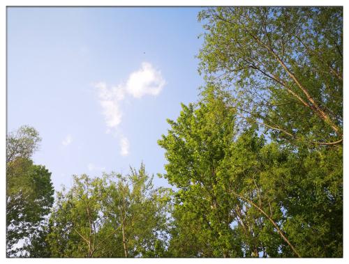 生命的能量 (3).jpg