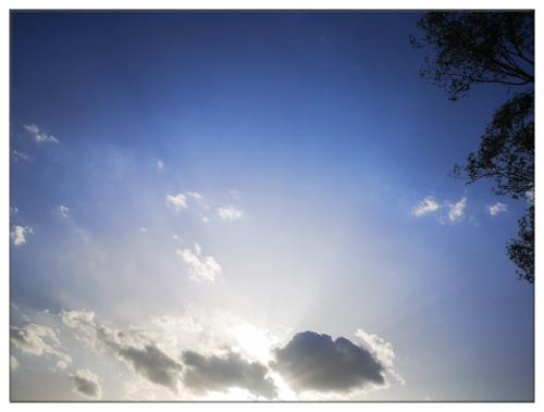 生命的能量 (2).jpg