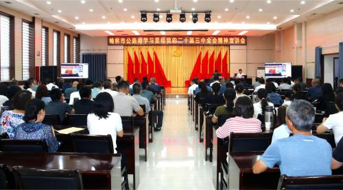 1725608528728512.jpg IMG_6305.JPG